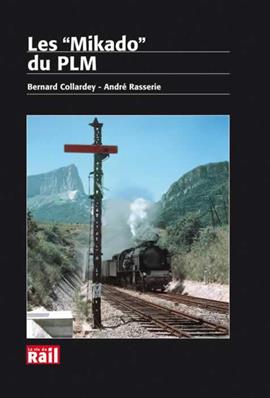 [110165] Les "Mikado" du PLM