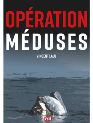 [110418] Opération méduses